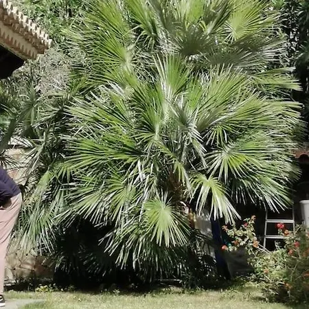 Prestigiosa A - Parcheggio Riservato Villa