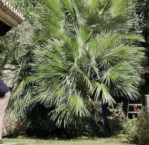 Prestigiosa A - Parcheggio Riservato Villa