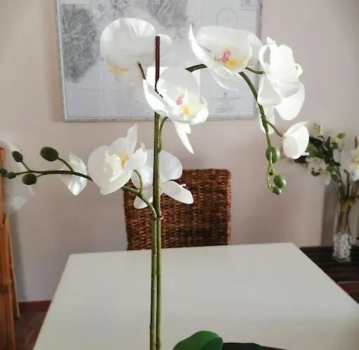 Prestigiosa A - Parcheggio Riservato